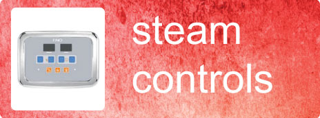 Steam Generator Controls