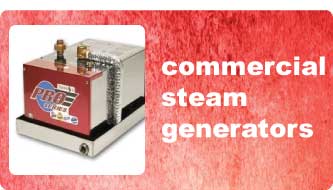 Commercial Steam Generator
